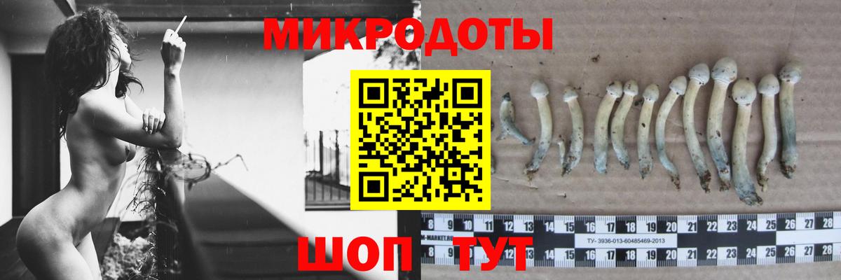 Галлюциногенные грибы Psilocybine cubensis  Вход с VPN  Шатура 