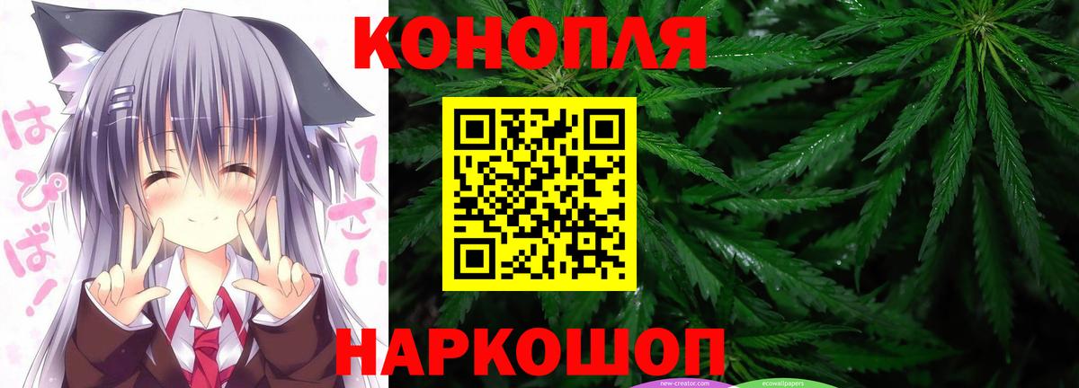 Бошки марихуана гибрид Шатура